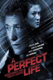 A Perfect Life – 2011 – Online In Netflix
