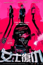 女士復仇 – 2017 – Online In Netflix
