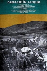 Dreptate în lanțuri – 1984 – Online In Netflix