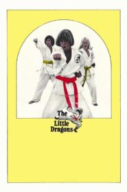 The Little Dragons – 1980 – Online In Netflix