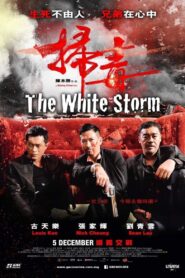 掃毒 – 2013 – Online In Netflix