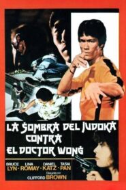 La Sombra del Judoka contra el Doctor Wong – 1985 – Online In Netflix