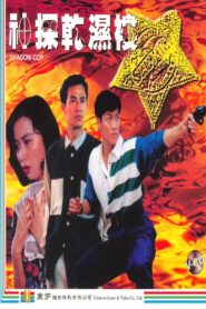 神探乾濕褸 – 1993 – Online In Netflix
