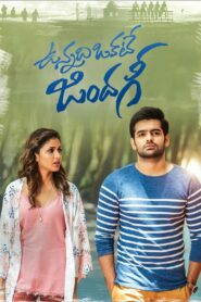 ఉన్నది ఒకటే జిందగీ – 2017 – Online In Netflix