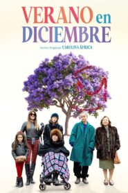 Verano en diciembre – 2024 – Online In Netflix
