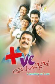 പോസിറ്റീവ് – 2008 – Online In Netflix