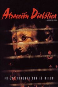 Atracción diabólica (Monkey Shines) – 1988 – Online In Netflix
