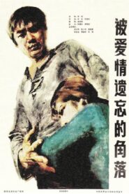 被爱情遗忘的角落 – 1981 – Online In Netflix