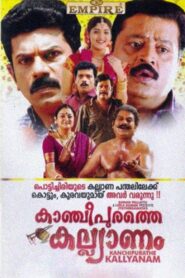 കാഞ്ചീപുരത്തെ കല്യാണം – 2009 – Online In Netflix