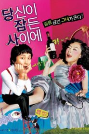 당신이 잠든 사이에 – 2008 – Online In Netflix
