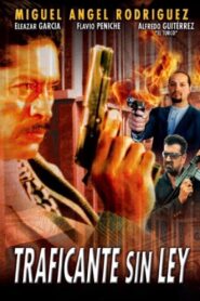 Traficante sin ley – 2000 – Online In Netflix