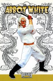 少林寺传奇 – 1981 – Online In Netflix