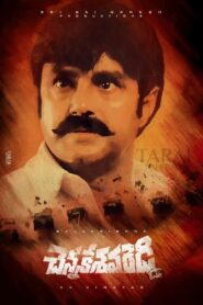 చెన్నకేశవ రెడ్డి – 2002 – Online In Netflix
