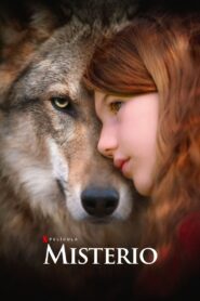 Misterio – 2021 – Online In Netflix