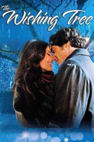 The Wishing Tree – 2012 – Online In Netflix