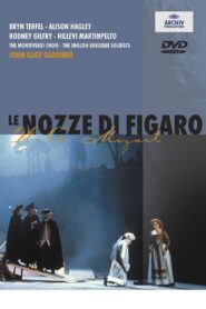 Le Nozze di Figaro – 1993 – Online In Netflix