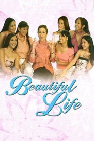 Beautiful Life – 2004 – Online In Netflix