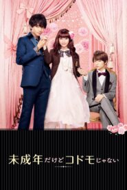 未成年だけどコドモじゃない – 2017 – Online In Netflix