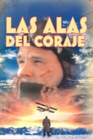 Guillaumet, les ailes du courage – 1995 – Online In Netflix