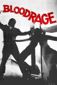 Bloodrage – 1980 – Online In Netflix