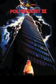 Poltergeist III – 1988 – Online In Netflix