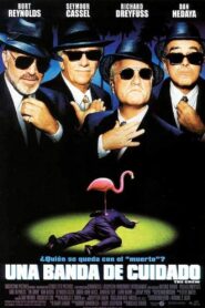 Una banda de cuidado – 2000 – Online In Netflix