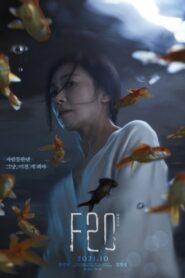 F20 – 2021 – Online In Netflix