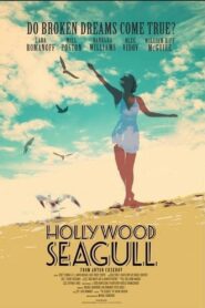 Hollywood Seagull – 2013 – Online In Netflix