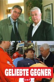 Geliebte Gegner – 1998 – Online In Netflix