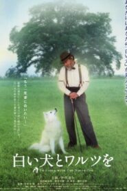 白い犬とワルツを – 2002 – Online In Netflix