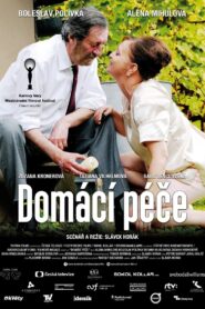 Domácí péče – 2015 – Online In Netflix