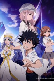 劇場版とある魔術の禁書目録たん-エンデュミオンの奇蹟-があったりなかったり – 2013 – Online In Netflix