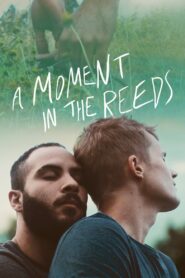 A Moment in the Reeds – 2018 – Online In Netflix