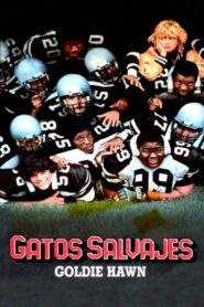 Échame la pelota, chica (Wildcats) – 1986 – Online In Netflix