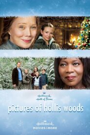 Pictures of Hollis Woods – 2007 – Online In Netflix