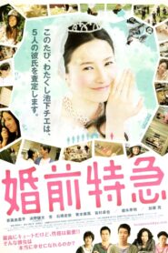 婚前特急 – 2011 – Online In Netflix