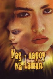 Nag-aapoy Na Laman Online In Netflix