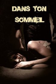 Dans ton sommeil Online In Netflix