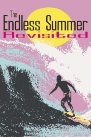 The Endless Summer Revisited Online In Netflix