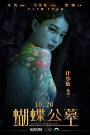 蝴蝶公墓 Online In Netflix
