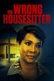 The Wrong House Sitter Online In Netflix