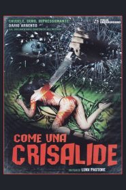 Come una crisalide Online In Netflix
