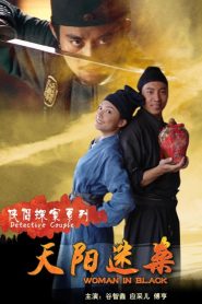 侠侣探案之天阳迷案 Online In Netflix