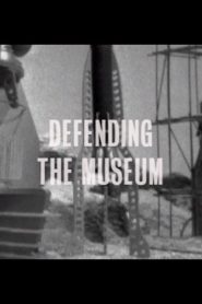 Defending the Museum Online In Netflix
