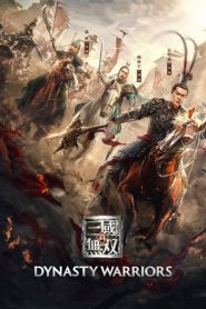 Dynasty Warriors Online In Netflix