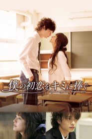 僕の初恋をキミに捧ぐ Online In Netflix
