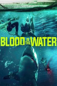 Blood in the Water Online In Netflix