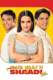 Mere Yaar Ki Shaadi Hai Online In Netflix