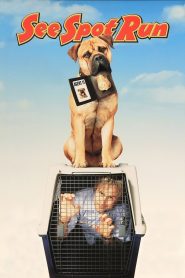 Spot Online In Netflix
