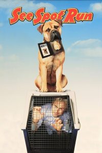 Spot Online In Netflix